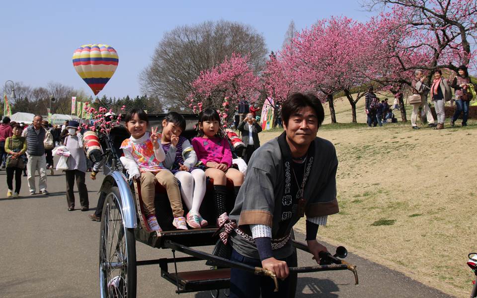 日本茨城櫻、桃、梅花綻放染出漫天粉紅，用萬千花瓣填滿妳的IG春天美照吧！06
