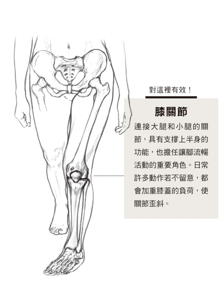 膝關節是達成腿型矯正的要點
