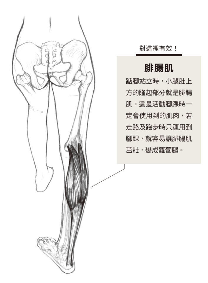 改善膝關節扭曲，告別粗壯蘿蔔腿