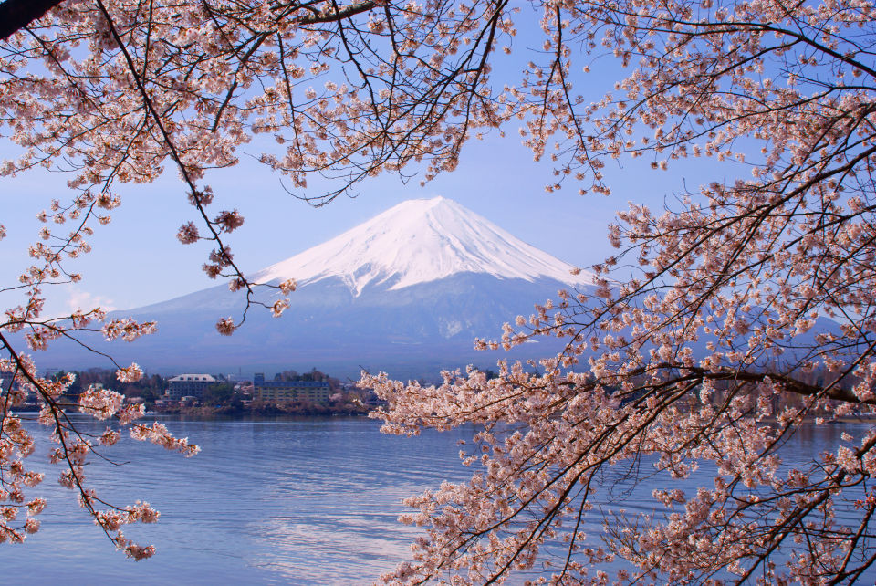 富士山旅遊河口湖大石公園