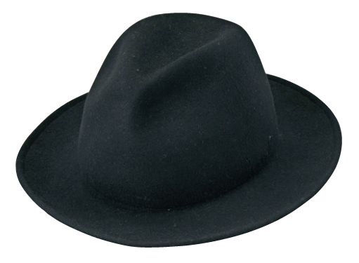 broad-brimmed hat 寬沿帽