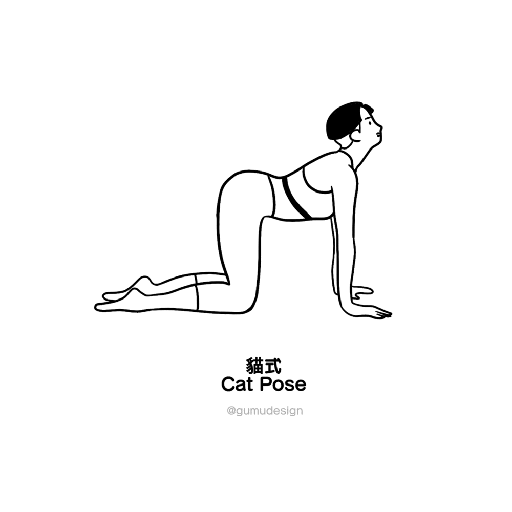 月經瑜珈練習：貓式