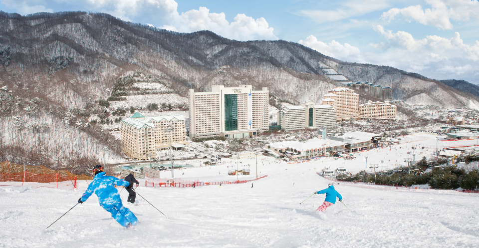滑雪道可以滿足各種階段的滑雪者！